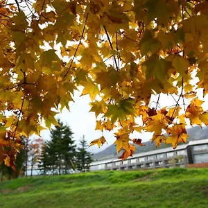 フラノ寶亭留 4*, 富良野市 日本