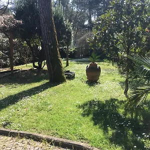 Old Town In The Green: Federico's Apartment. Florenz
